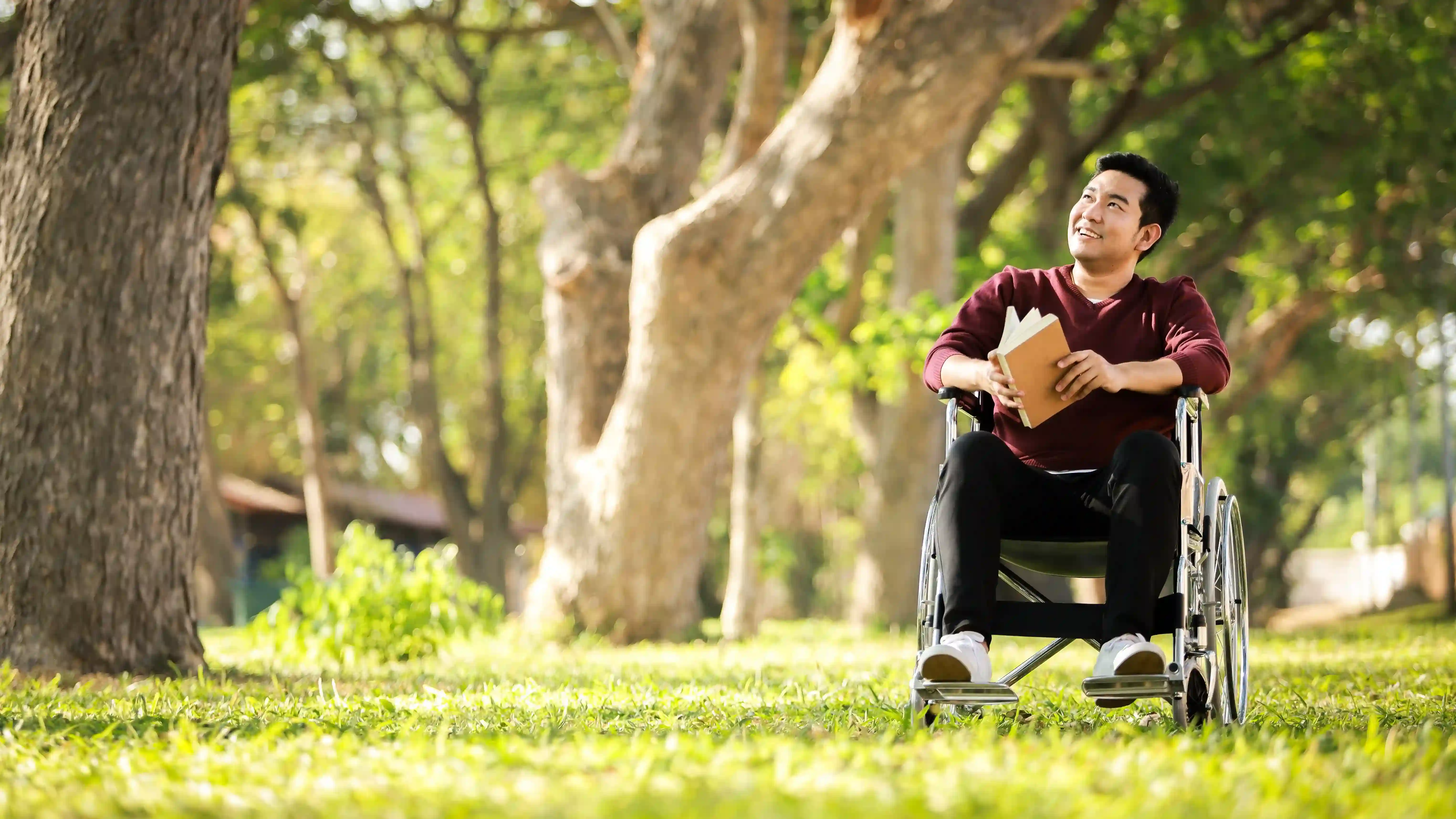 Man in wheelchair reads a book in a sunny park, surrounded by trees.
